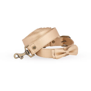 Correa en cuero para perro dorada